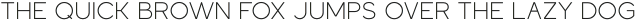 Dress Code Light otf (300)