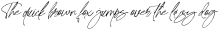 The Skytripe Italic otf (400)