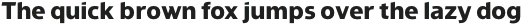 Cologna Humanist ExtraBold otf (700)
