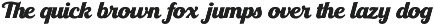 Bandbox | Athletic Script Typeface preview