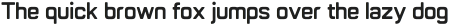 Nexium Round Bold otf (700)