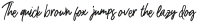 Sweet Partner Brush Regular otf (400)