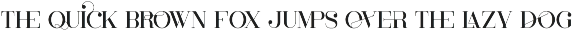 Cruell Serif Typeface - 5 fonts preview