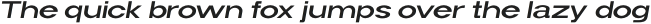 Widy Extra Light Italic otf (200)