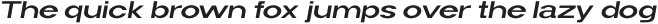 Widy Light Italic otf (300)