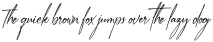 Next Southerland Script otf (400)