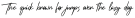Jolleylung otf (400)