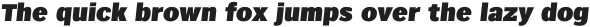 Texicali X Extra Black Italic otf (900)