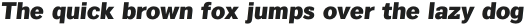 Texicali Heavy Italic otf (800)