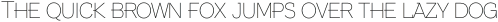 Texicali S Thin otf (100)