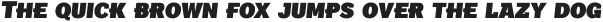 Texicali S Extra Black Italic otf (900)