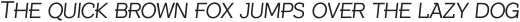 Texicali S Light Italic otf (300)