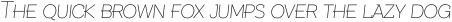 Texicali SC Thin Italic otf (100)