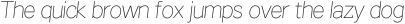 Texicali Thin Italic otf (100)