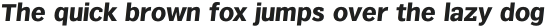 Texicali X Extra Bold Italic otf (700)