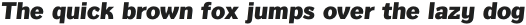 Texicali Alt Heavy Italic otf (800)