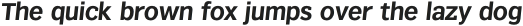 Texicali X Bold Italic otf (700)