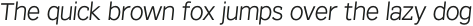 Texicali X Light Italic otf (300)