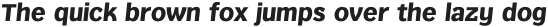 Texicali Alt X Extra Bold Italic otf (700)