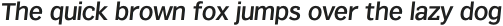 Texicali X Medium Italic otf (500)