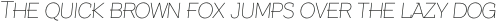 Texicali S Thin Italic otf (100)