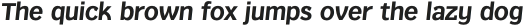 Texicali Alt X Bold Italic otf (700)