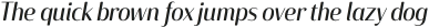 Solitas Contrast Norm Regular Italic otf (400)