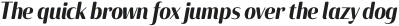 Solitas Contrast Cond Demi Italic otf (400)