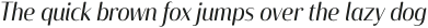 Solitas Contrast Norm Book Italic otf (400)