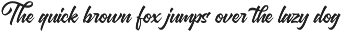 Sidney Hayden - Modern Script Font preview