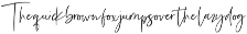 Precious Soul - Handwritten Font preview