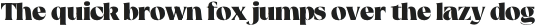Rische Bold otf (700)