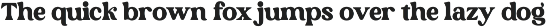 Rebori Modern Serif Font preview