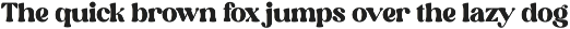 Elinga Classy Serif Font font preview