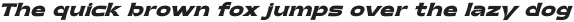 Pontiff Wide Italic otf (400)