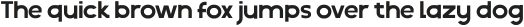 Therok Thin ttf (100)