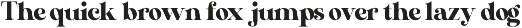 Nevrada Modern Display Font font preview