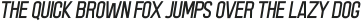 Acmatic Thin Italic otf (100)