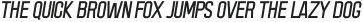 Acmatic Thin Italic ttf (100)
