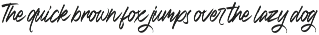 Modjola - Elegant Handbrush Typeface preview