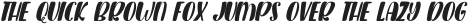 Plant Factory Italic Regular otf (400)