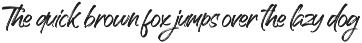 Handscript preview
