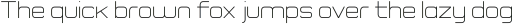 Rogueland Light ttf (300)