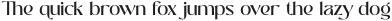 Shallota Medium otf (500)