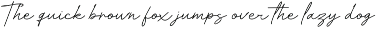 Velocity - Elegant Signature preview