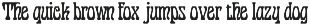 Display Art Fonts Collection preview