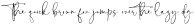 WolmingtonScriptFont otf (400)
