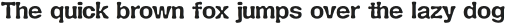 Turing Display Regular otf (400)