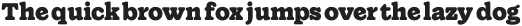 Wonder Extrabold otf (700)