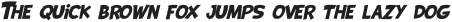DUCKO ITALIC Italic ttf (400) Sample